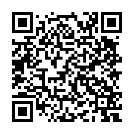 QR code for PAY463