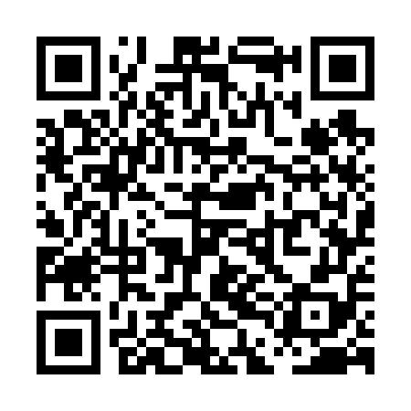 QR code for PDG658