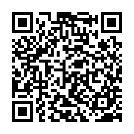 QR code for PDM387