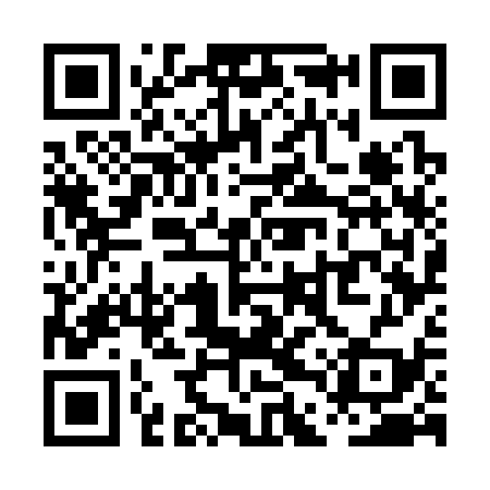 QR code for PDW339