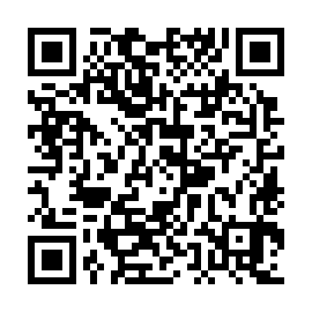 QR code for PEO383
