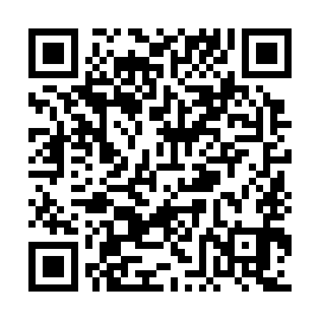 QR code for PFN391