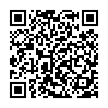 QR code for PGN498