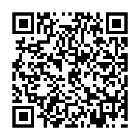 QR code for PGO338