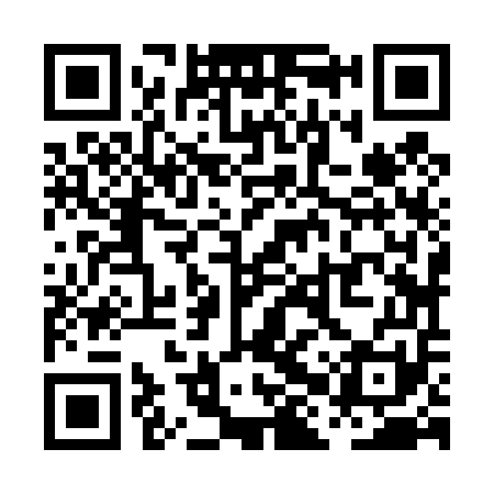 QR code for PHZ451