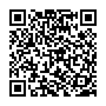 QR code for PII069