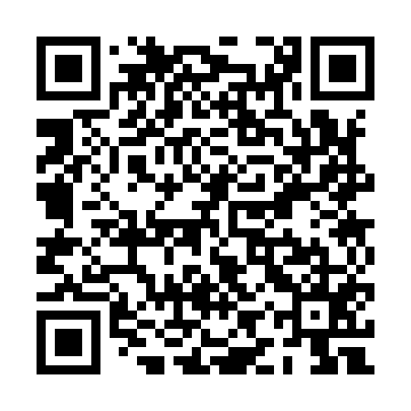 QR code for PIS955