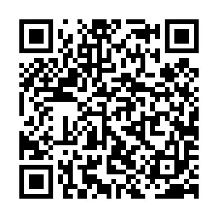 QR code for PIT493