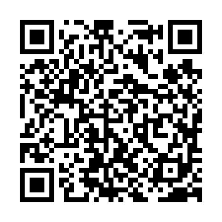 QR code for PIZ691