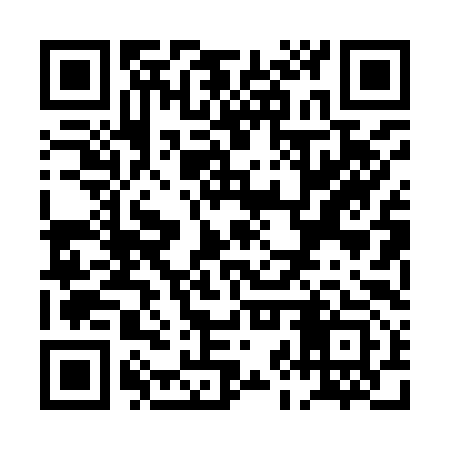 QR code for PJP993