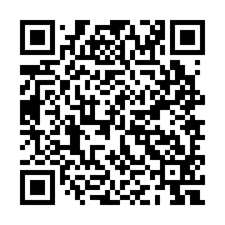 QR code for PKJ393