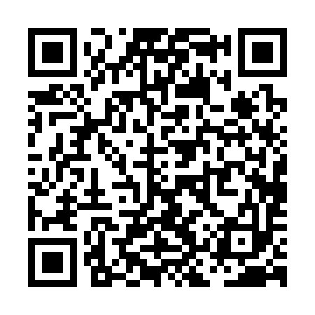 QR code for PKP393