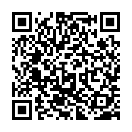 QR code for PLN389