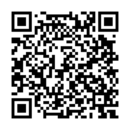 QR code for PMS017