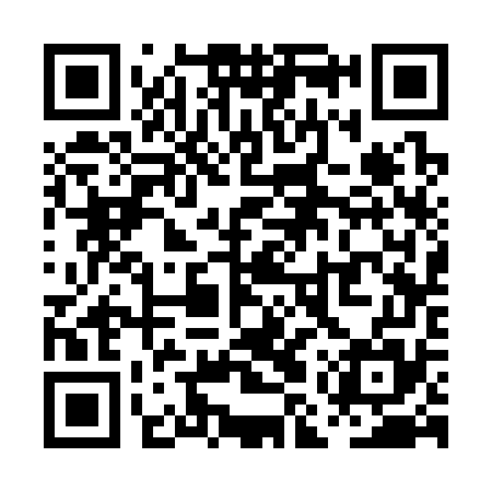 QR code for PMS375