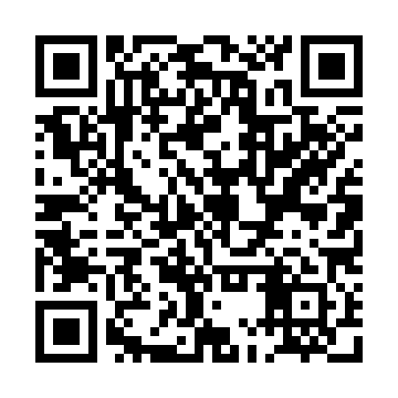 QR code for PMT381