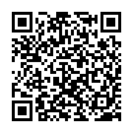 QR code for PNS390