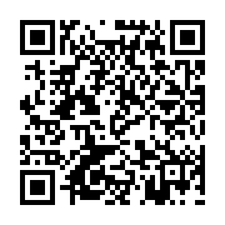 QR code for POI382