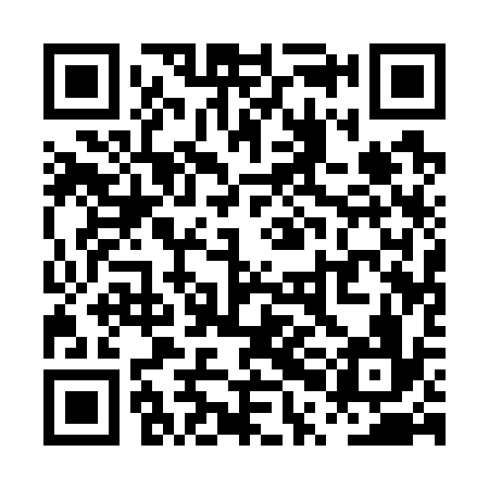QR code for PPA736