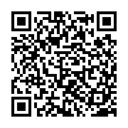 QR code for PPE741