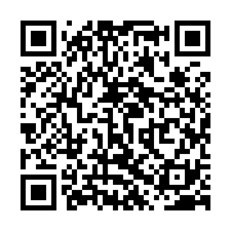 QR code for PPY931