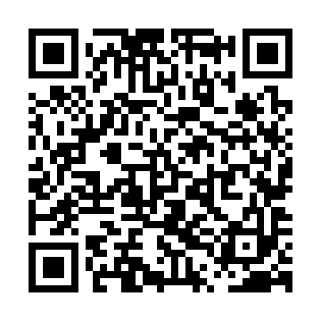 QR code for PTN393