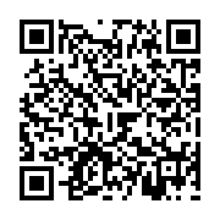 QR code for PTZ938