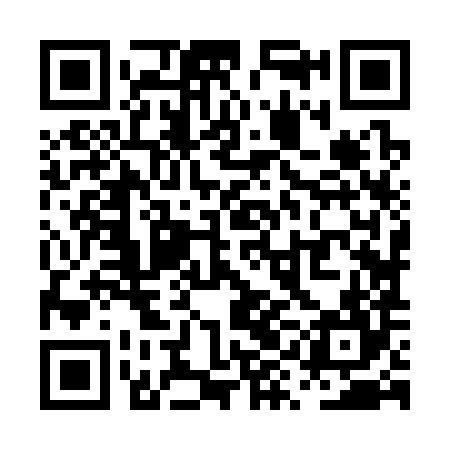 QR code for PYJ384