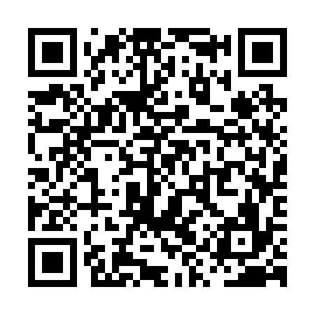 QR code for PYS236