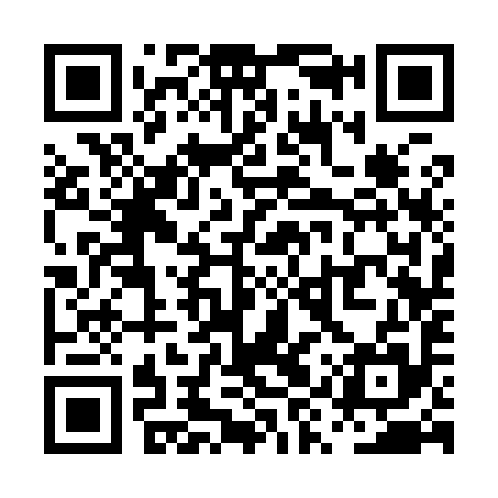 QR code for PYS995