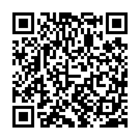 QR code for PZH651