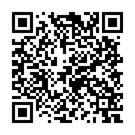 QR code for PZP563