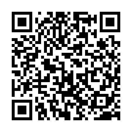 QR code for PZQ378
