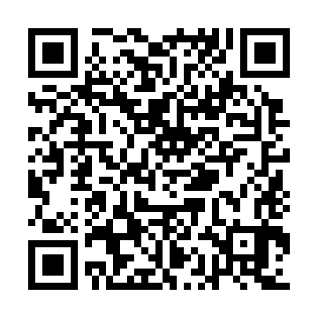 QR code for QAN383