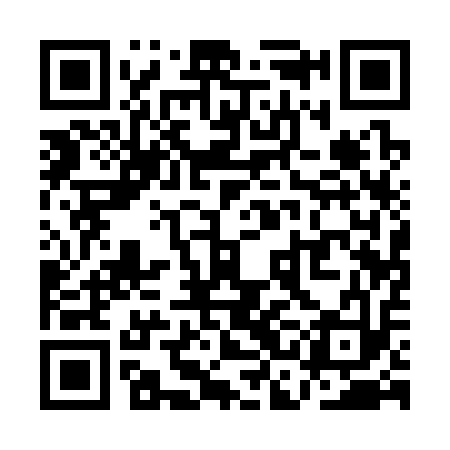 QR code for QCA313