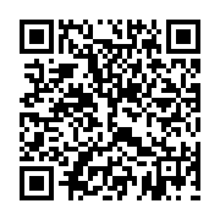QR code for QCY295
