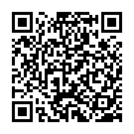 QR code for QDG958