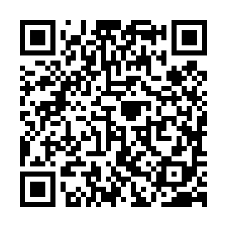 QR code for QDZ498