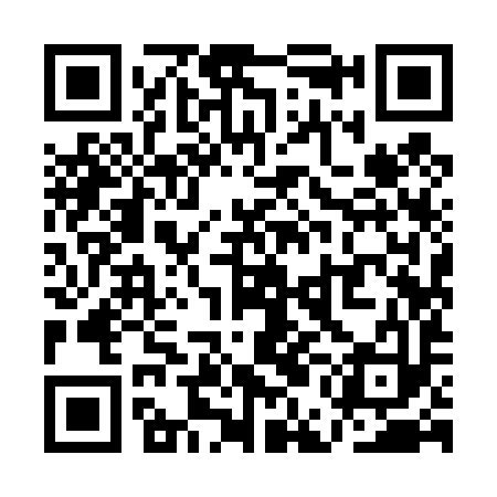 QR code for QEI493