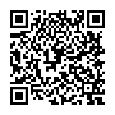 QR code for QFA993