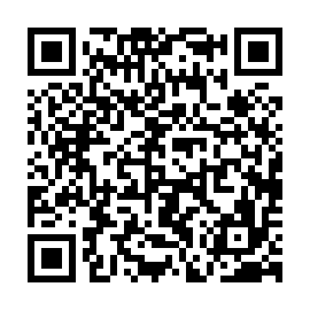 QR code for QGP816