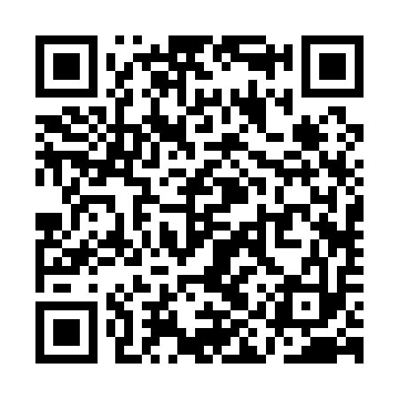 QR code for QIR113