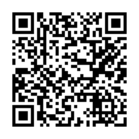 QR code for QIZ995