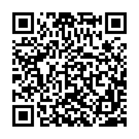 QR code for QLT996