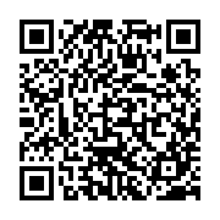 QR code for QLU384