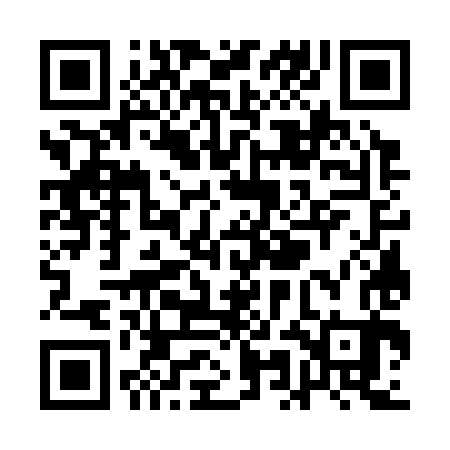 QR code for QMG383