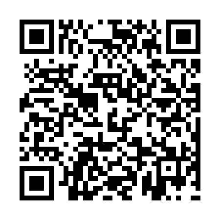QR code for QPG291