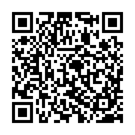 QR code for QPJ384