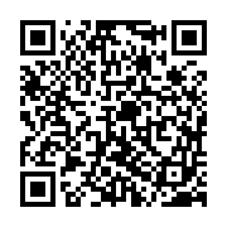 QR code for QPJ953