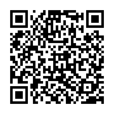 QR code for QPN289